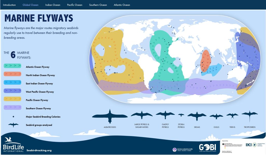 Six Marine Flyways